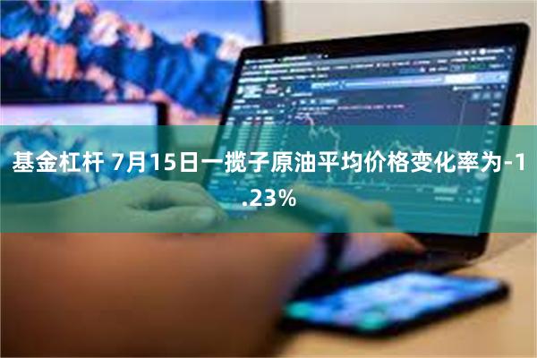 基金杠杆 7月15日一揽子原油平均价格变化率为-1.23%