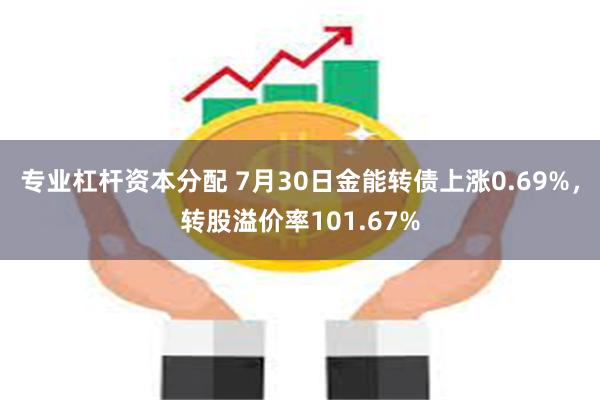 专业杠杆资本分配 7月30日金能转债上涨0.69%，转股溢价率101.67%