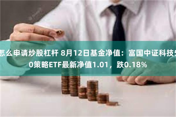 怎么申请炒股杠杆 8月12日基金净值：富国中证科技50策略ETF最新净值1.01，跌0.18%