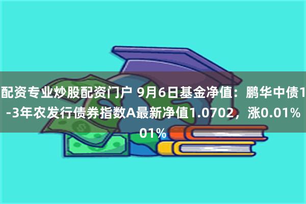 配资专业炒股配资门户 9月6日基金净值：鹏华中债1-3年农发行债券指数A最新净值1.0702，涨0.01%