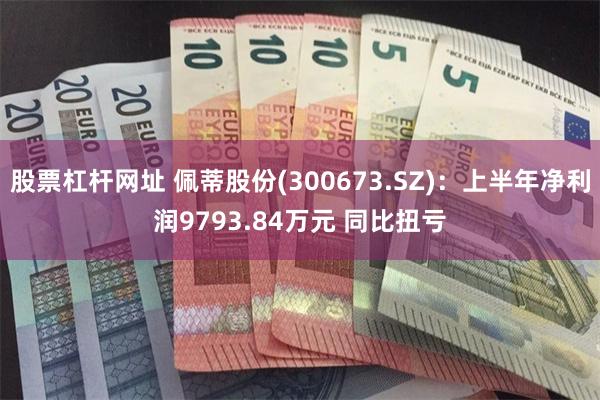 股票杠杆网址 佩蒂股份(300673.SZ)：上半年净利润9793.84万元 同比扭亏