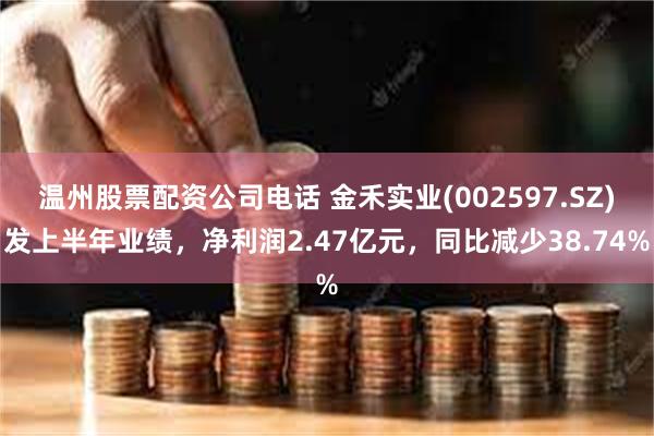 温州股票配资公司电话 金禾实业(002597.SZ)发上半年业绩，净利润2.47亿元，同比减少38.74%