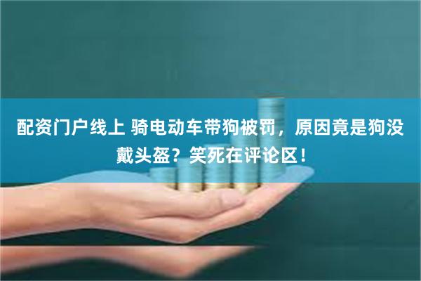 配资门户线上 骑电动车带狗被罚，原因竟是狗没戴头盔？笑死在评论区！