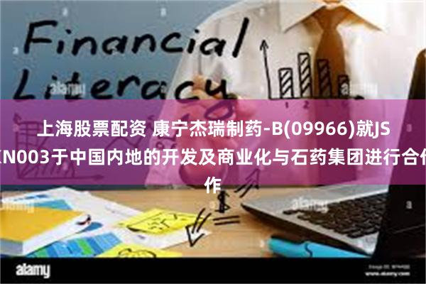 上海股票配资 康宁杰瑞制药-B(09966)就JSKN003于中国内地的开发及商业化与石药集团进行合作