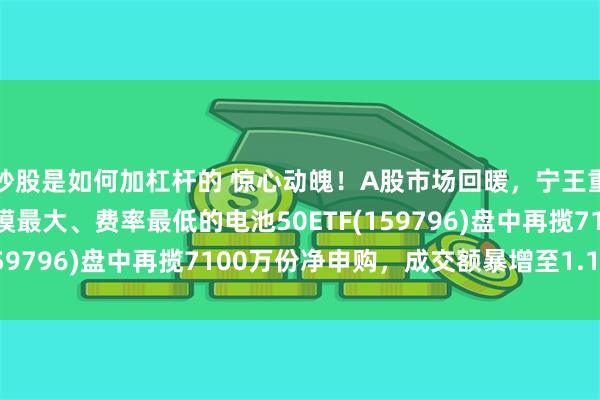 炒股是如何加杠杆的 惊心动魄！A股市场回暖，宁王重挫10%，同品类中规模最大、费率最低的电池50ETF(159796)盘中再揽7100万份净申购，成交额暴增至1.1亿元