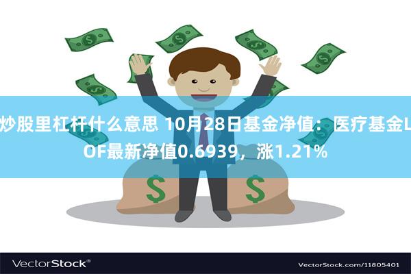 炒股里杠杆什么意思 10月28日基金净值：医疗基金LOF最新净值0.6939，涨1.21%