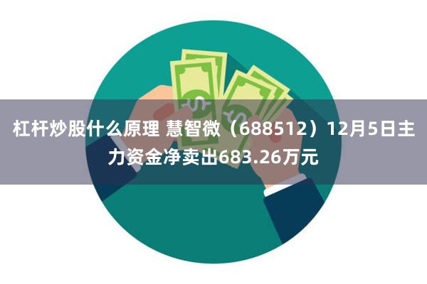 杠杆炒股什么原理 慧智微（688512）12月5日主力资金净卖出683.26万元