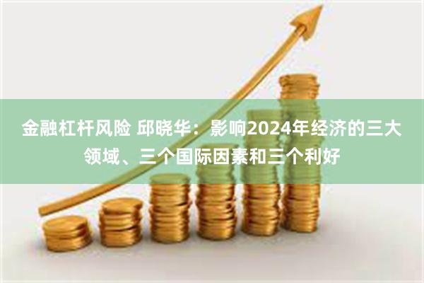 金融杠杆风险 邱晓华：影响2024年经济的三大领域、三个国际因素和三个利好