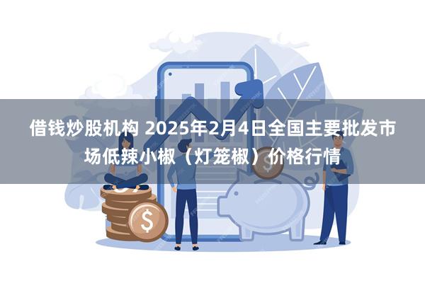 借钱炒股机构 2025年2月4日全国主要批发市场低辣小椒（灯笼椒）价格行情